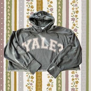 Aerie Dark Gray Hoodie Sweater